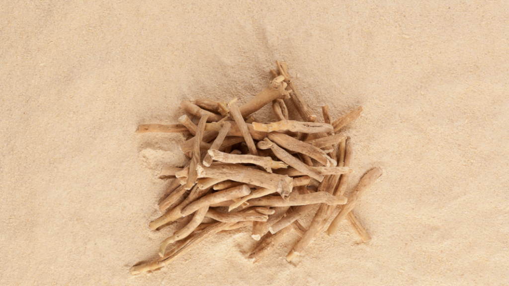 Ashwagandha Supplement von @eskimaks von Getty Images