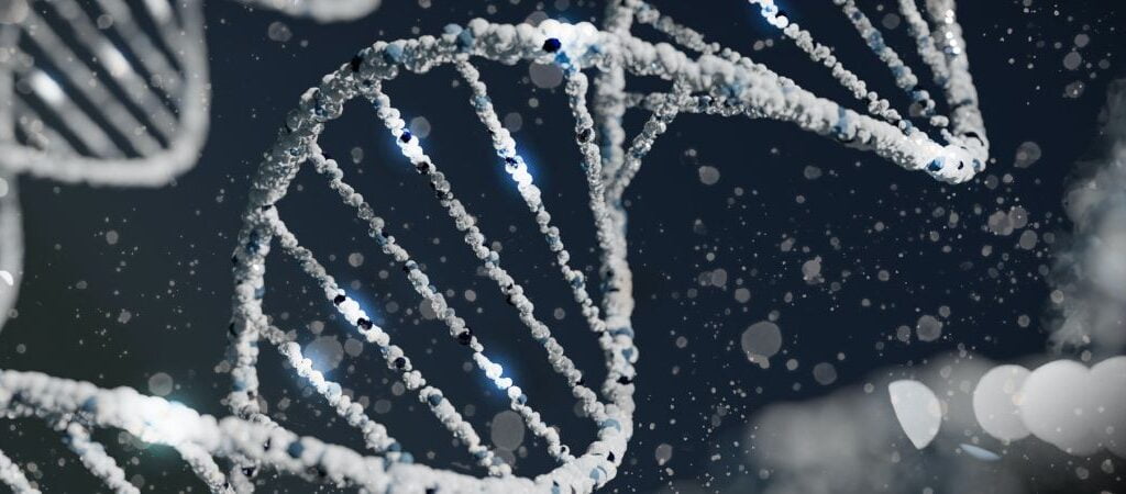 NRF2-doctaris-bilder blogbeiträge