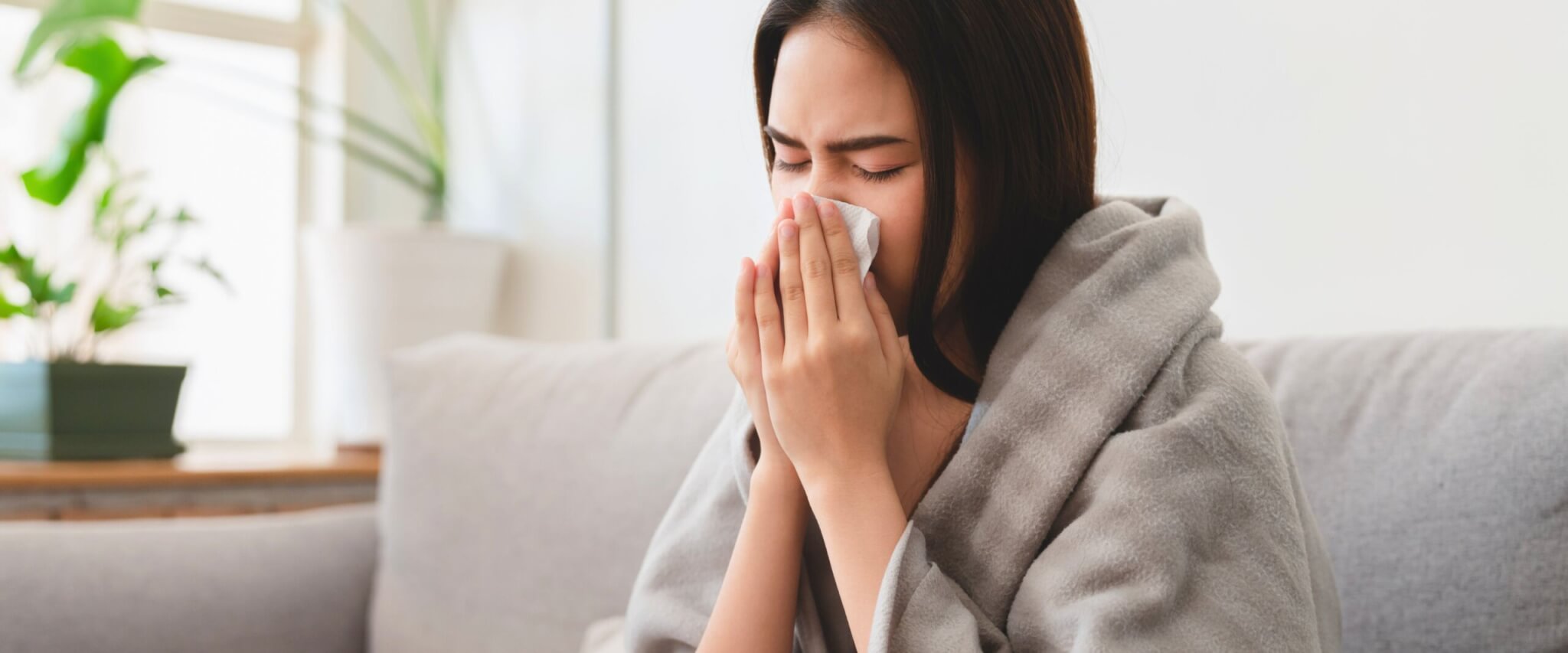 fachartikel grippe