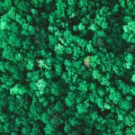 borreliose fortbildung